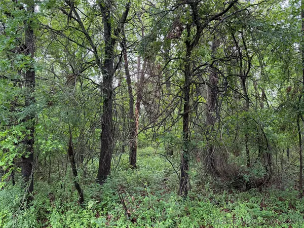 Chouteau, OK 74337,2 N Navajo