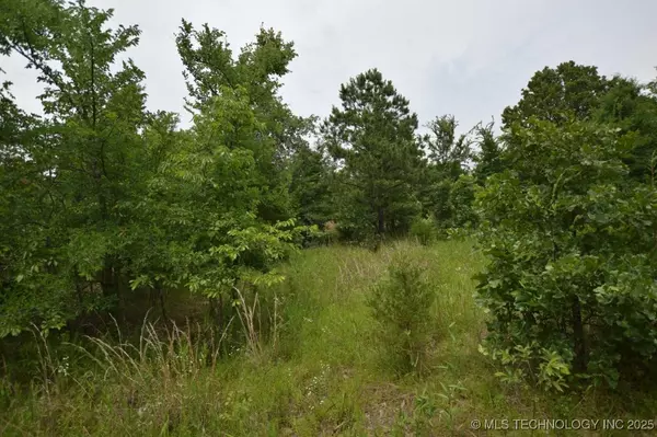 1 4503 RD, Vian, OK 74962