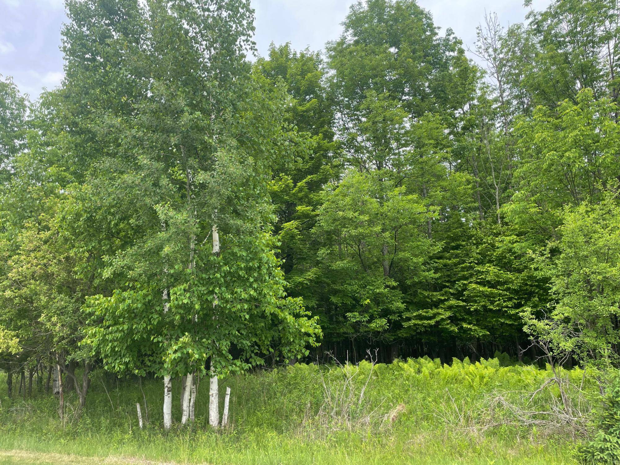 Park Falls, WI 54552,4th Add. MARGARET LN #Lot 2
