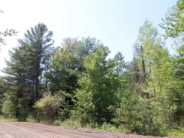 Mercer, WI 54547,Lot 6 PINE BOUGH CT