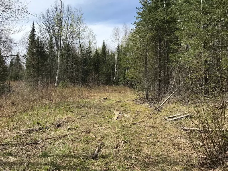 TBD TURTLE RAPIDS LN, Mercer, WI 54547