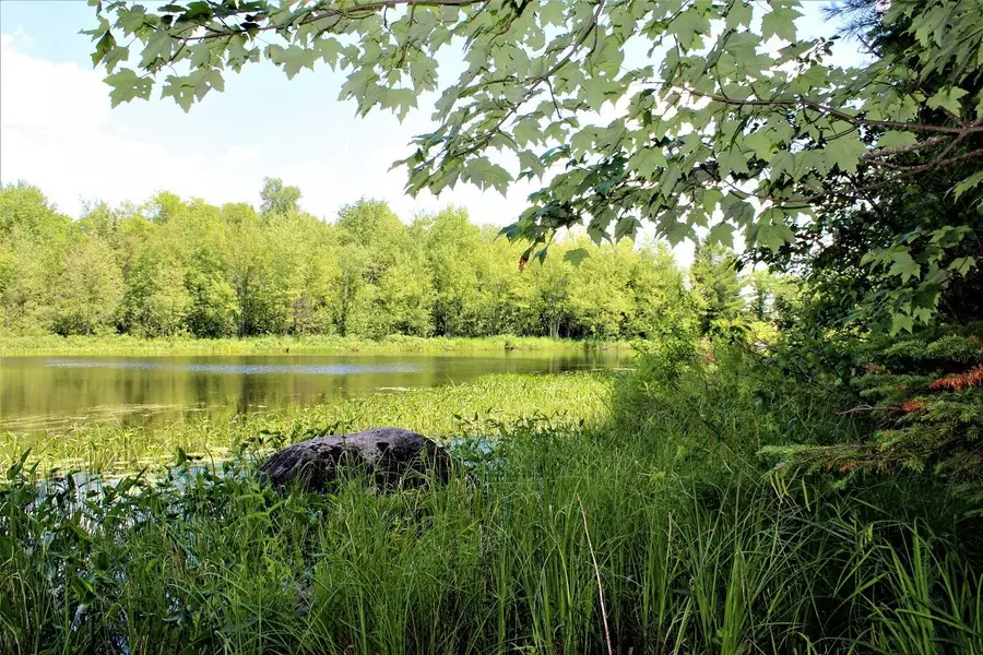 Lot 2 CTH FF, Mercer, WI 54547