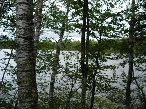 Mercer, WI 54547,ON GREAT NORTHERN TR #Lot 20