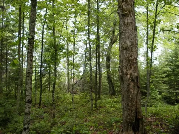 Mercer, WI 54547,ON GREAT NORTHERN TR #Lot 20