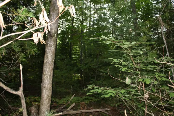 Woodruff, WI 54568,ON WOODLAND CT #WR-1262