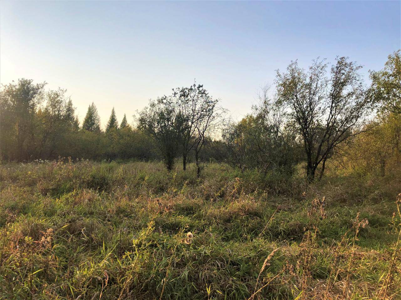 Off BEEBE ST, Phillips, WI 54555