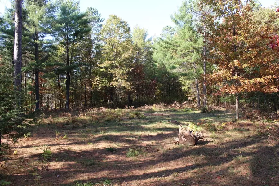 7297 PRISTINE WATERS DR, WI 54548