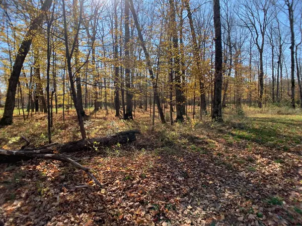 Mercer, WI 54547,Lot 4 CTH FF