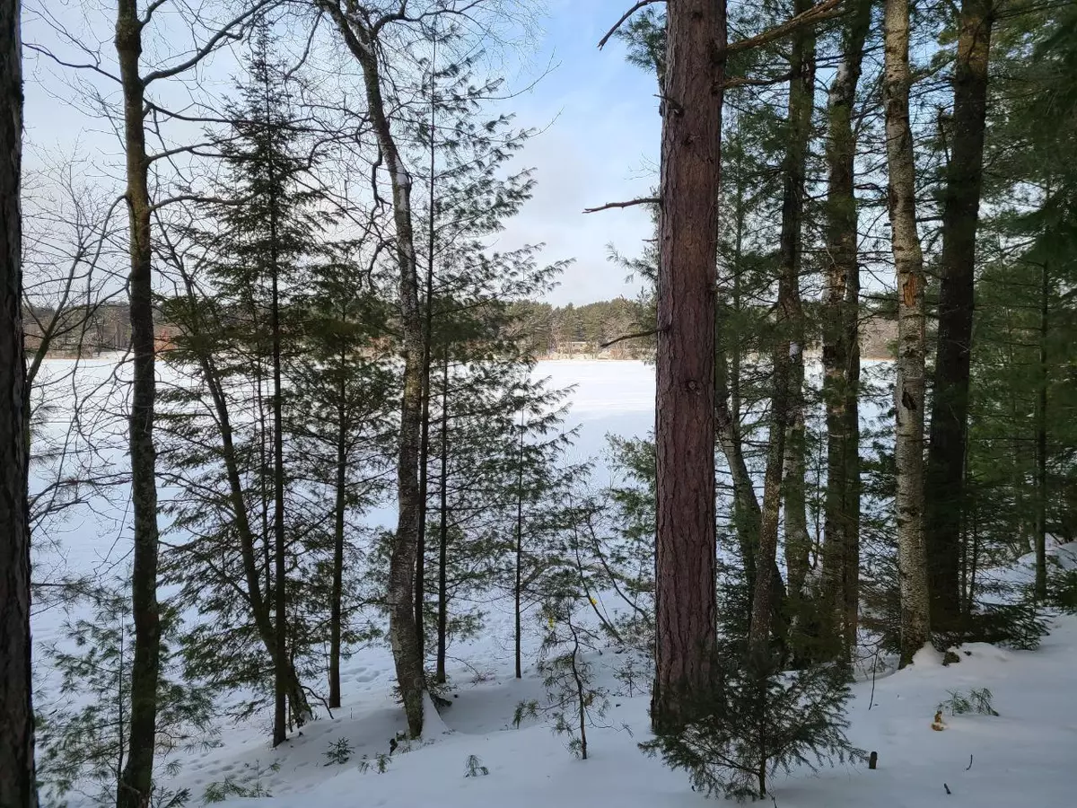 Woodruff, WI 54568,9816 COUNTRY LN