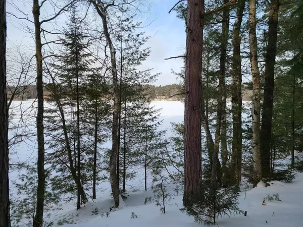 9816 COUNTRY LN, Woodruff, WI 54568