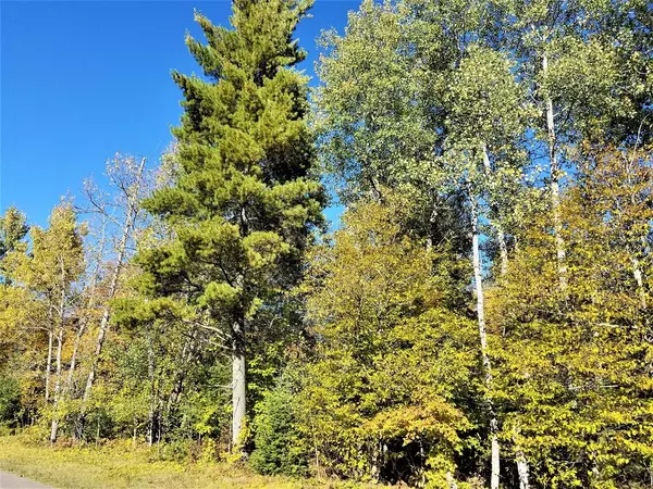 Lot 4 WEBER RD, Mercer, WI 54547