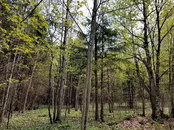 Montreal, WI 54550,Lot2 off SAXON RD