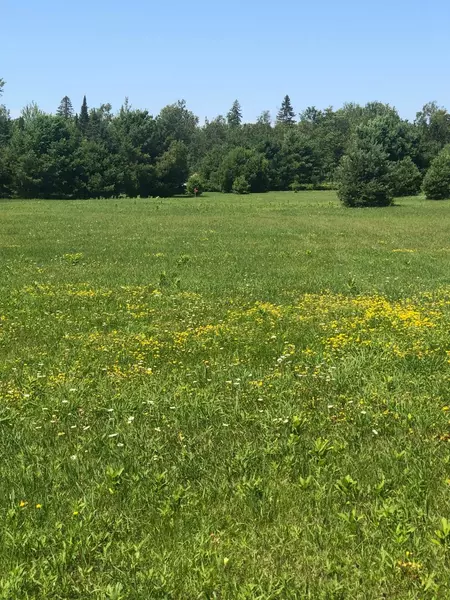 ON BOYER RD #Lot 5, Mercer, WI 54547