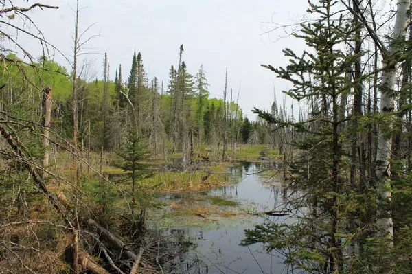 Mercer, WI 54547,Off THREE TEN RD
