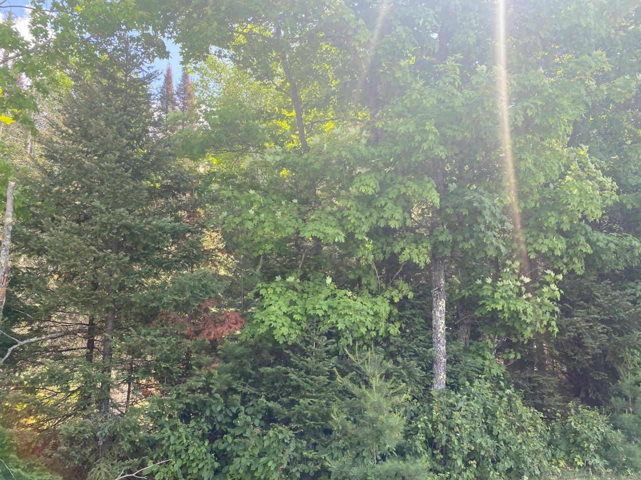 Three Lakes, WI 54562,Lot-9 JAVEN RD