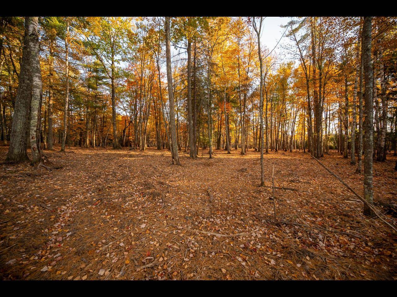 Eagle River, WI 54521,157-159 CLEARWATER LAKE TR