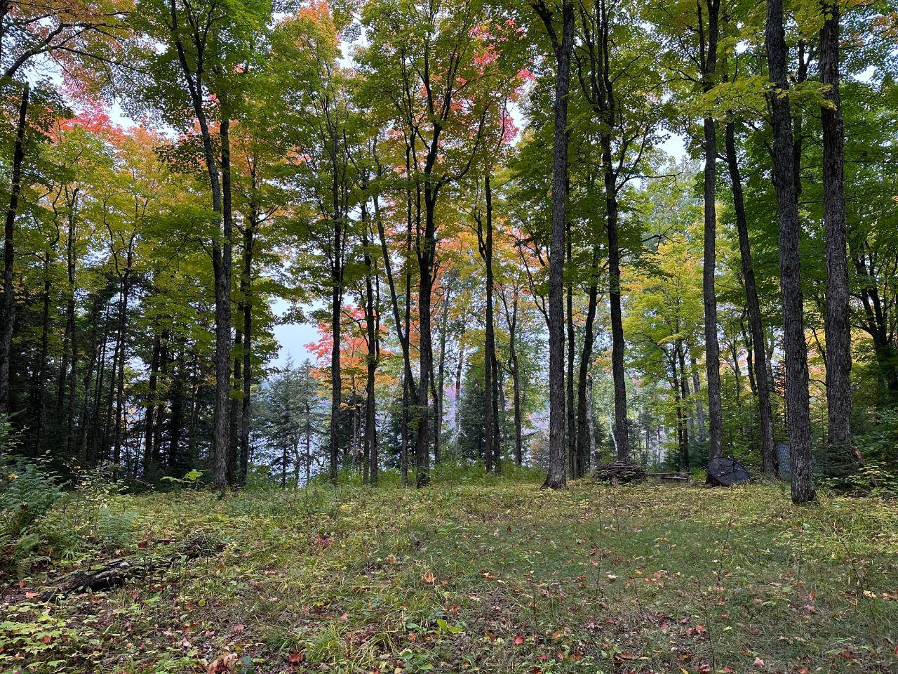 Marenisco, MI 49947,ON HAWK LAKE RD E