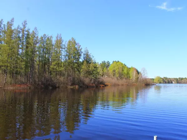 Mercer, WI 54547,2516 MARTHA LAKE RD