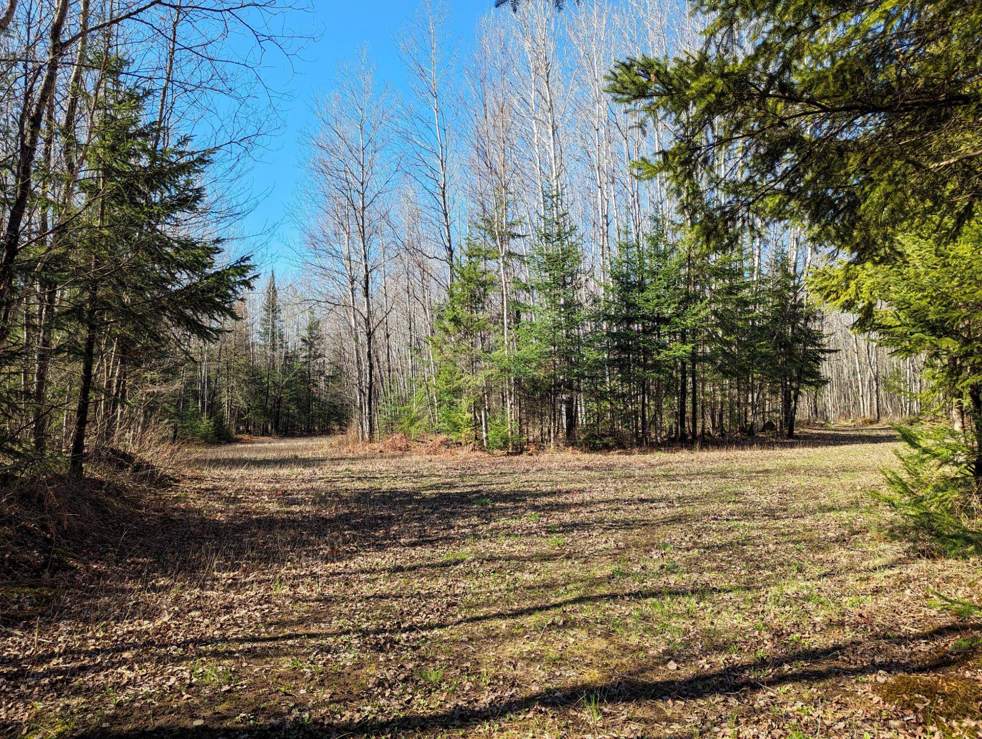 Phillips, WI 54555,00 POPPLE CREEK RD