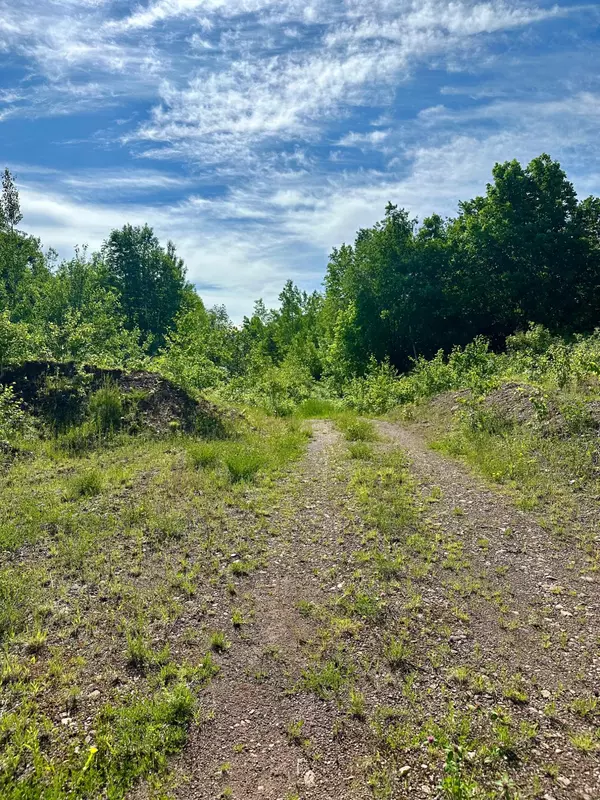 Saxon, WI 54559,FREBURGS RD