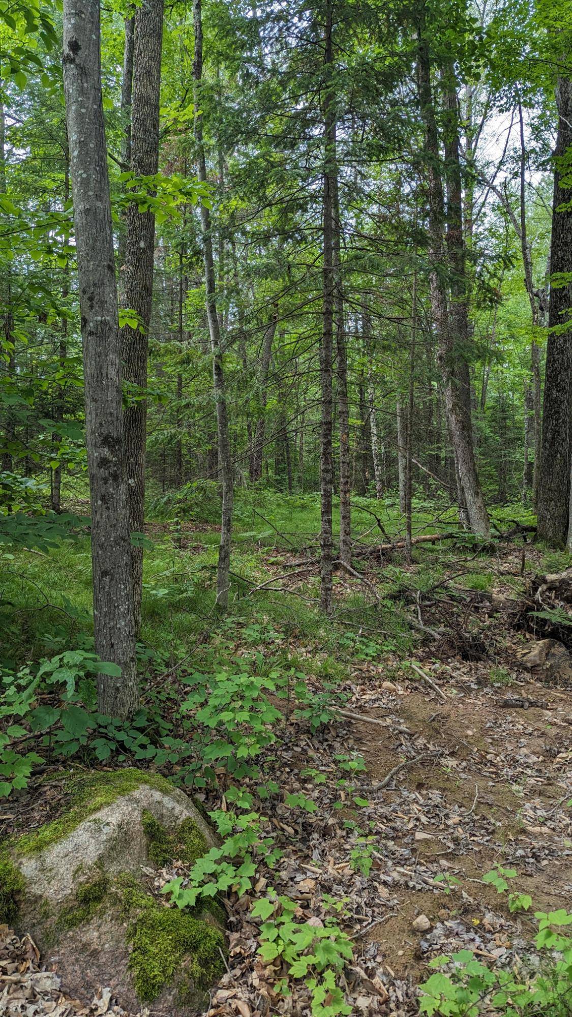 Mountain, WI 54149,TBD SHORE HEIGHTS LN W