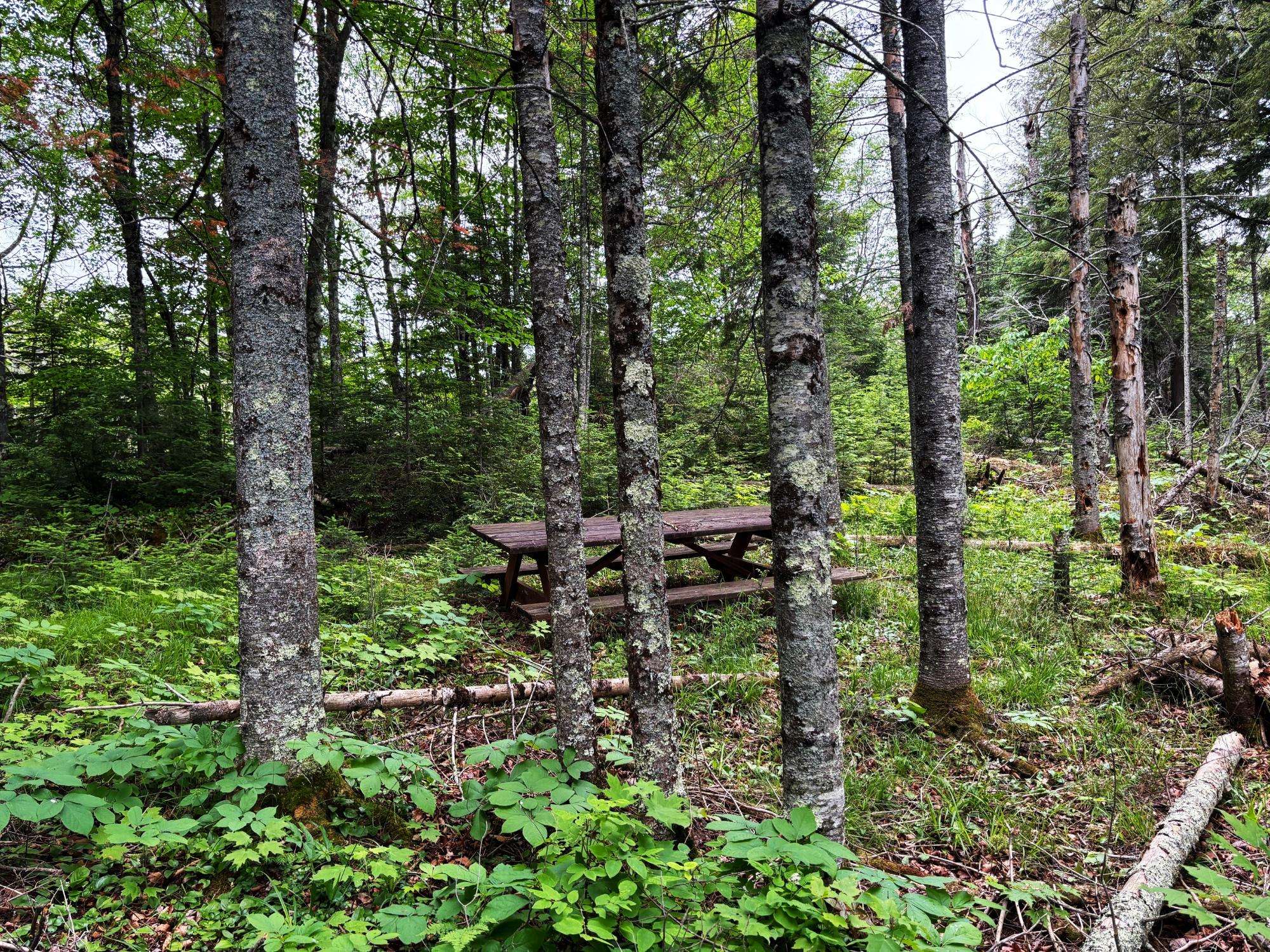 Oma, WI 54534,ON PARDEE LAKE RD