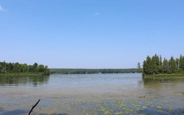 Lot 4 FOREST LN, Pickerel, WI 54465