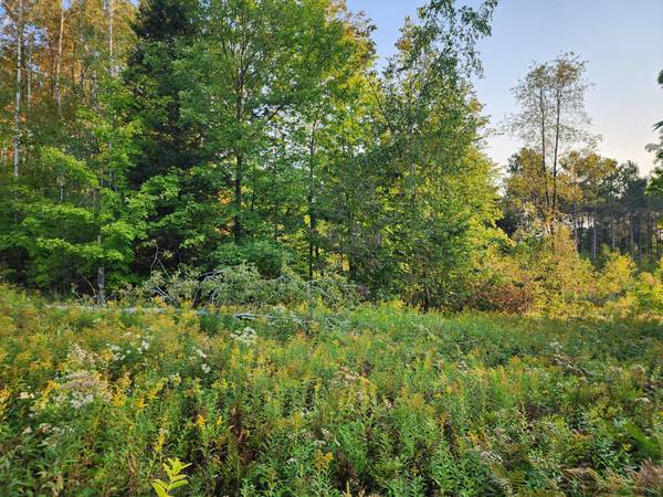 10 ac ON SIPPLE RD, Crandon, WI 54520