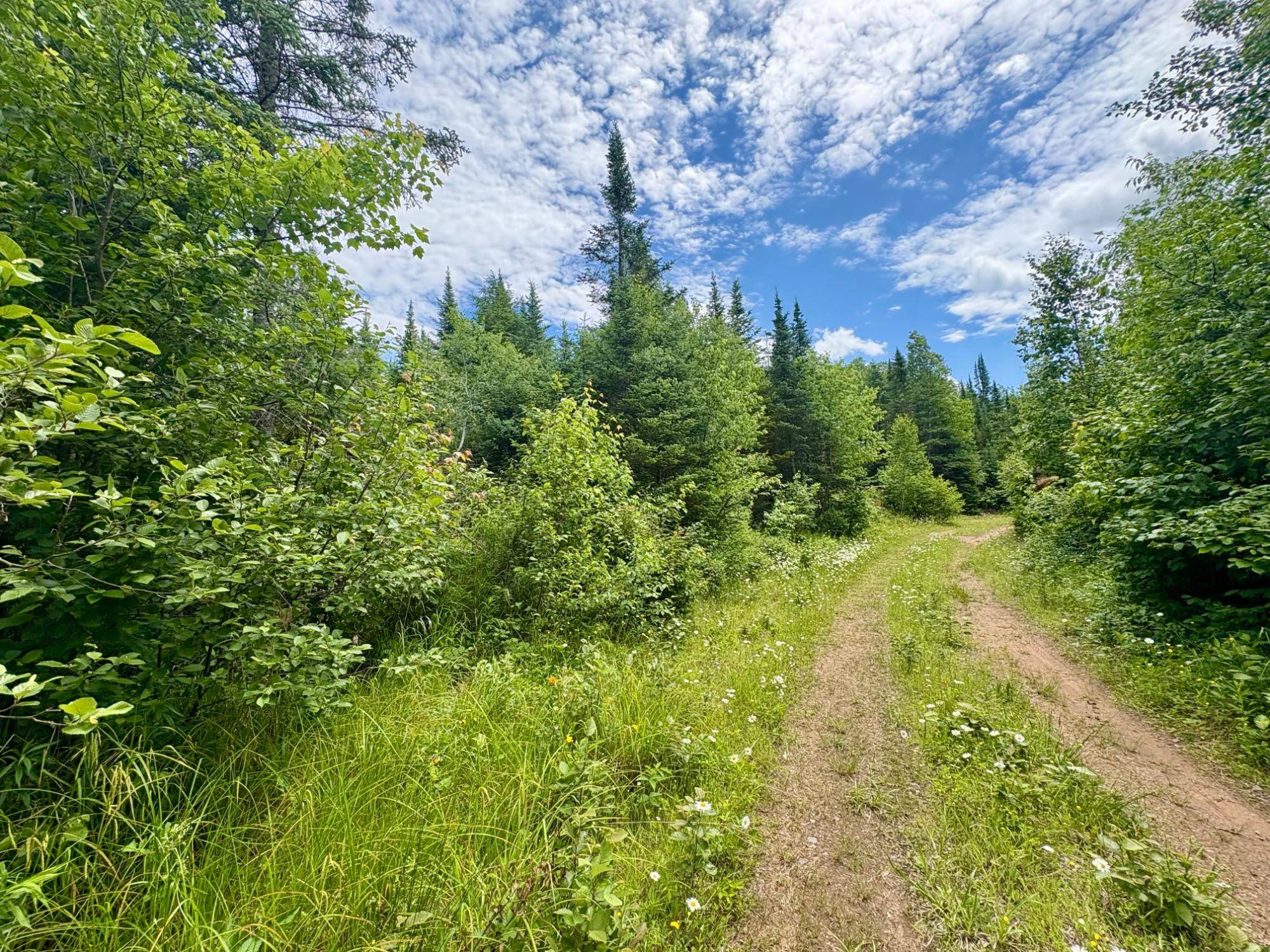 30A Off MINNOW CREEK RD, WI 54546