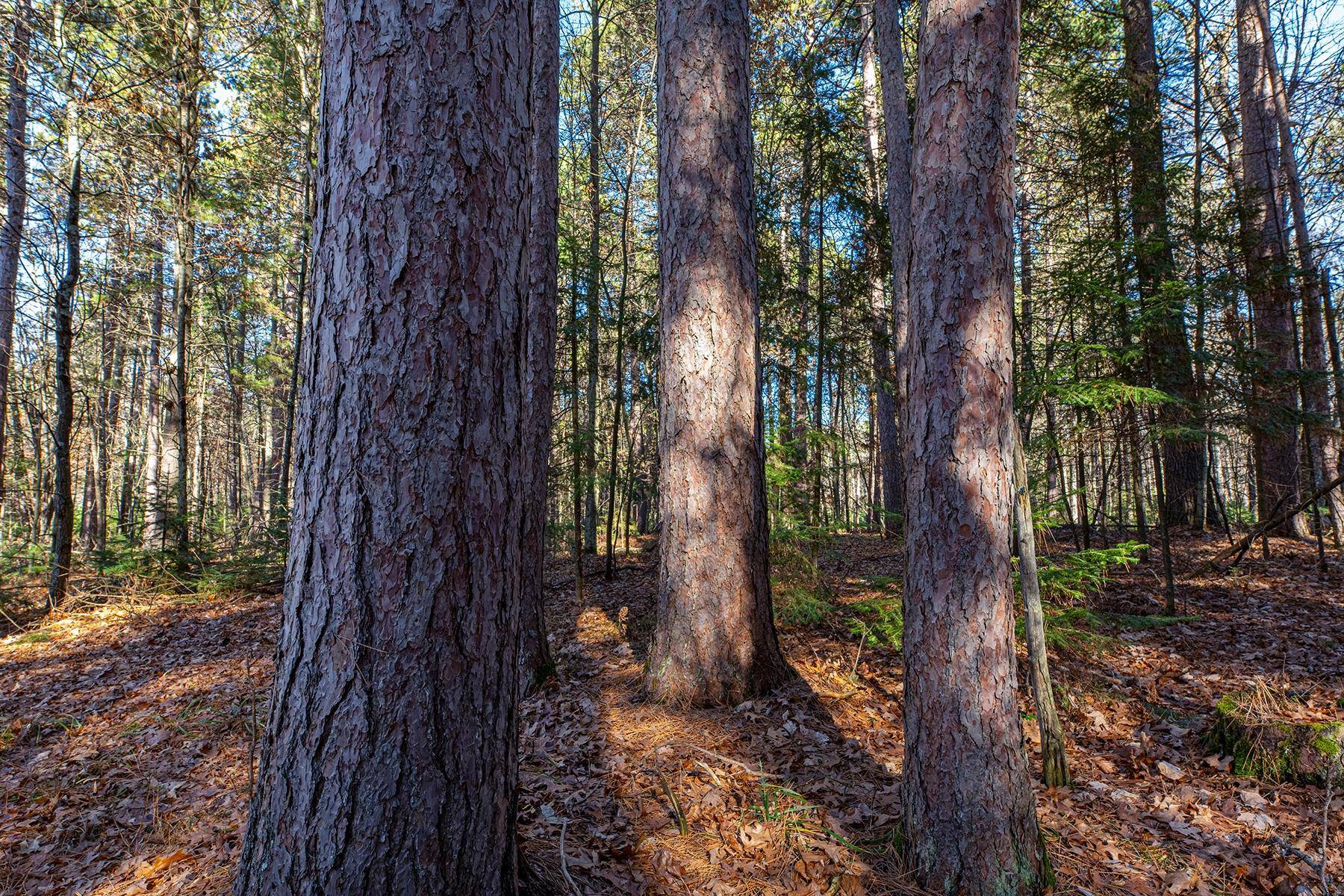 Tomahawk, WI 54487,Lot 18 THE POINT RD W