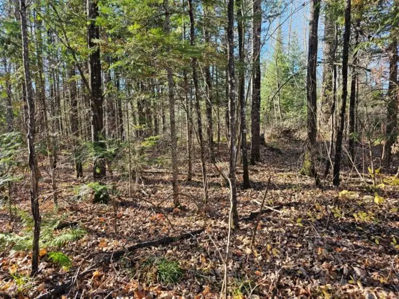 5913N ADVENTURES TR, Mercer, WI 54547