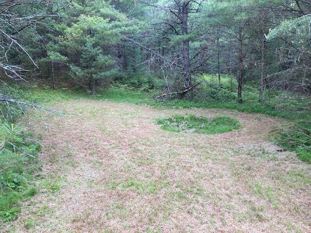 Minocqua, WI 54531,HA98-5 STONE FIELD RD