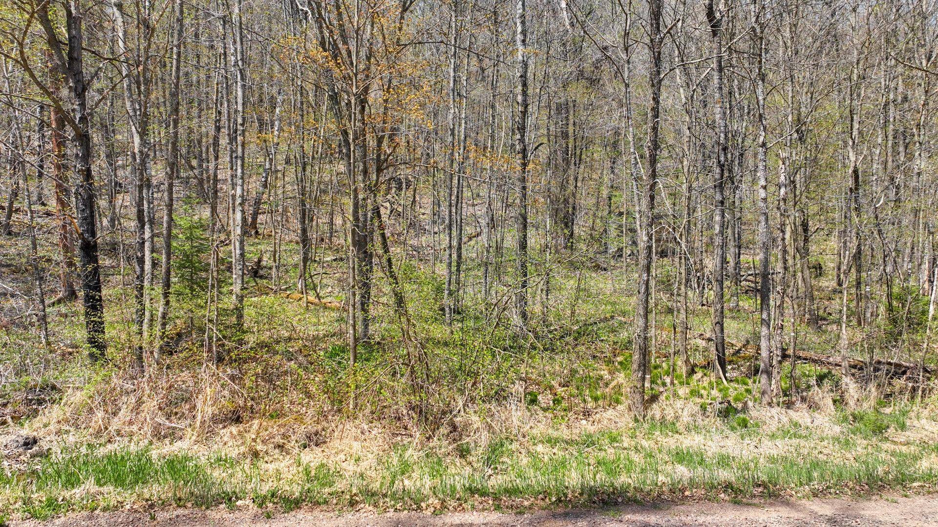 Exeland, WI 54835,925 GUELDNERS LN