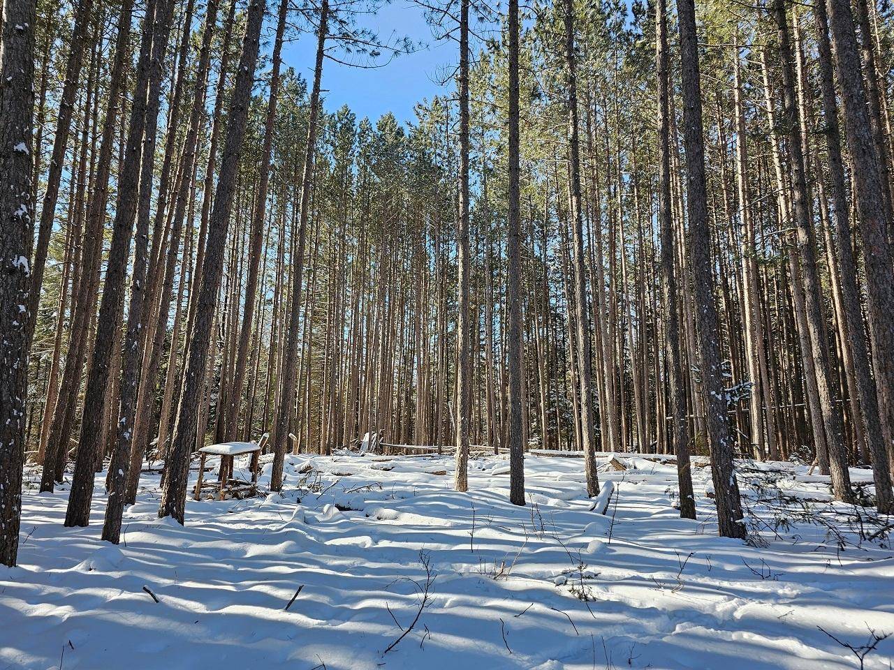 Glidden, WI 54527,258 MADISON ST