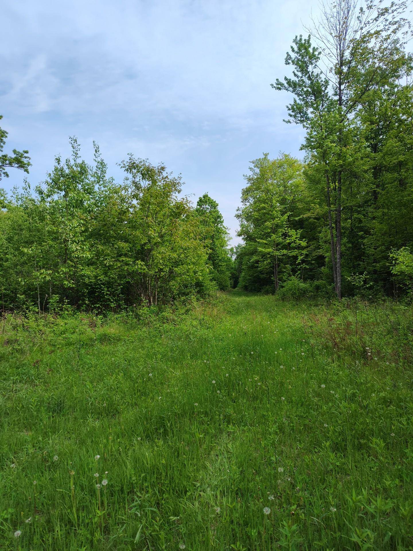 Pelican Lake, WI 54463,ON MEISTER STOCKLEY RD