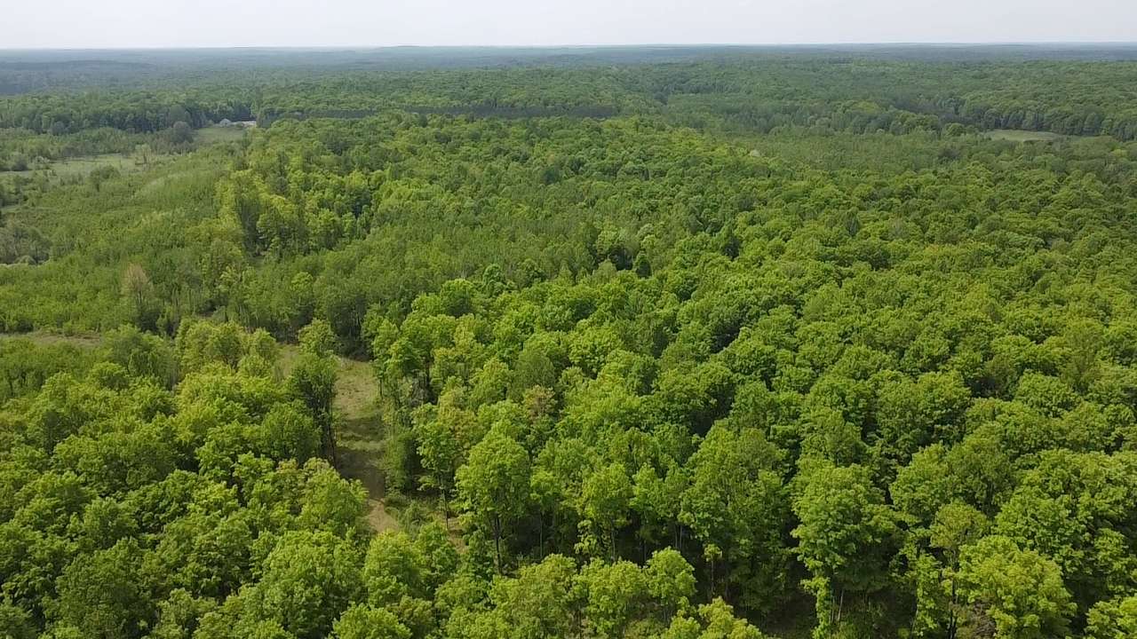 Lot 2 HWY 70, Tipler, WI 54542