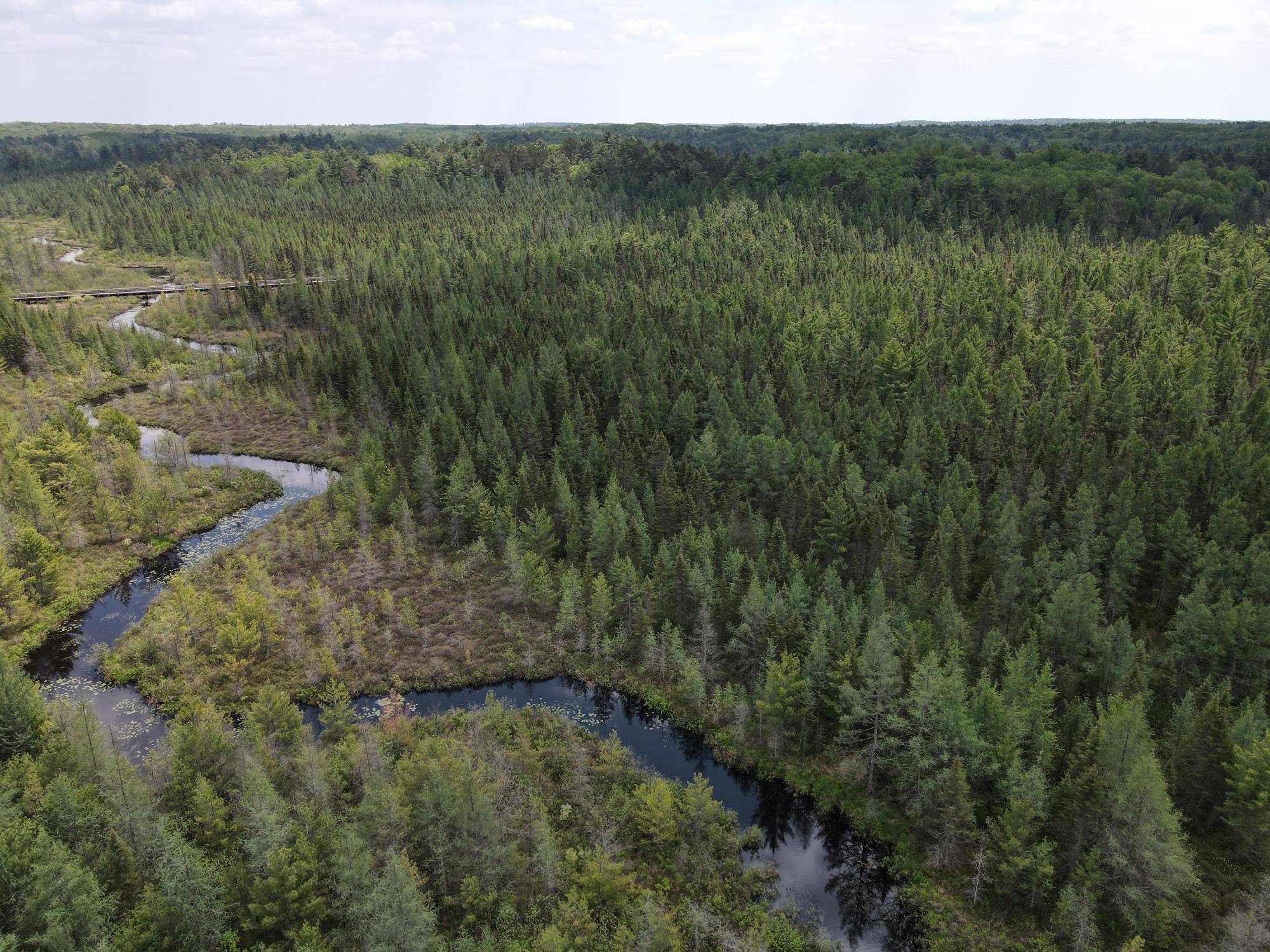 Off HWY 51 #438 Acres, Minocqua, WI 54531