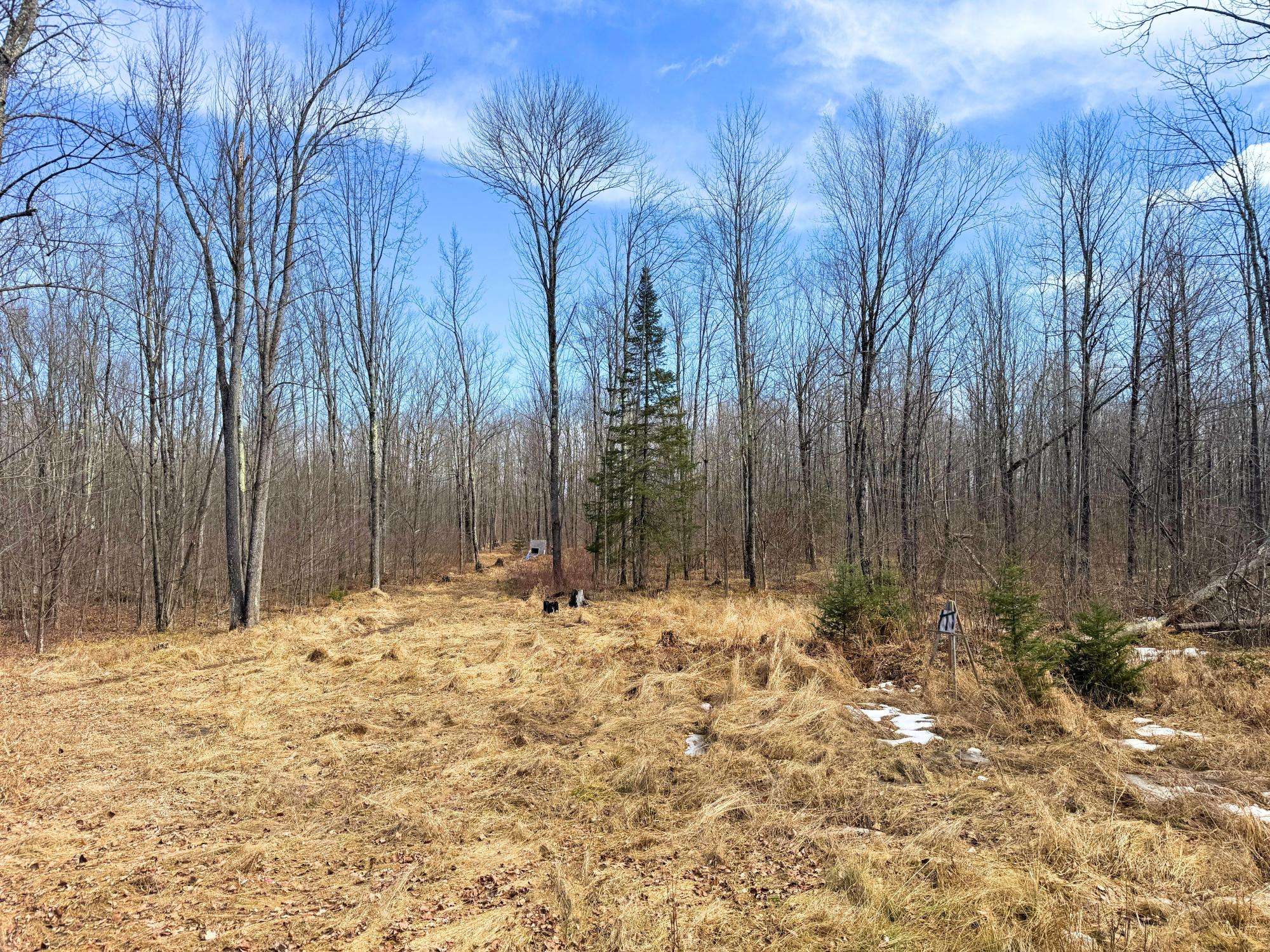 Tripoli, WI 54564,N10848 CTH YY