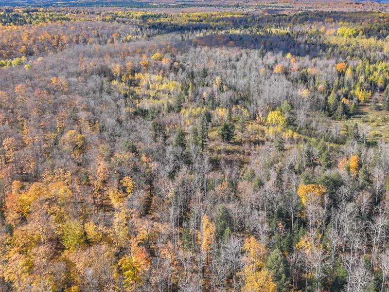 off HAWK SOUP LN, Phelps, WI 54554