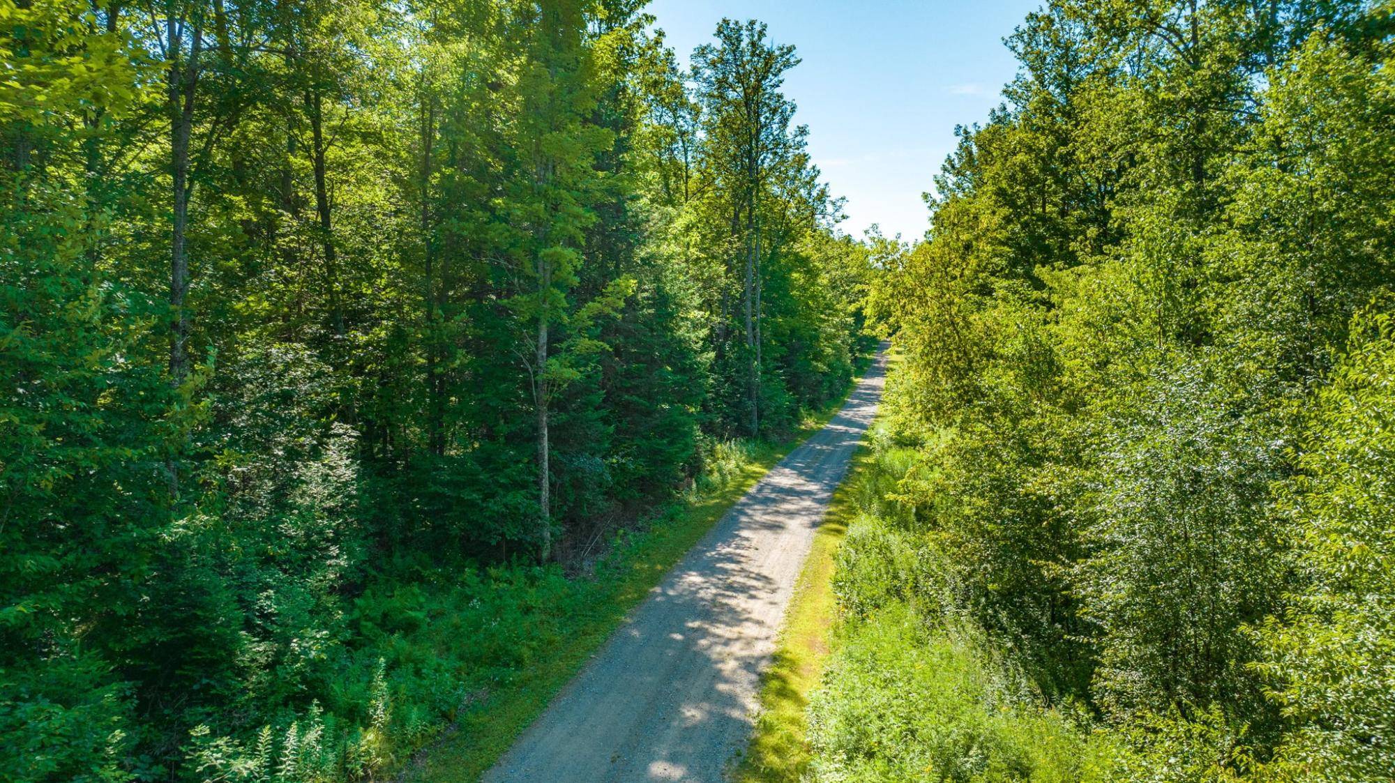 Tipler, WI 54542,TBD DREAM LAKE RD #Lot 4