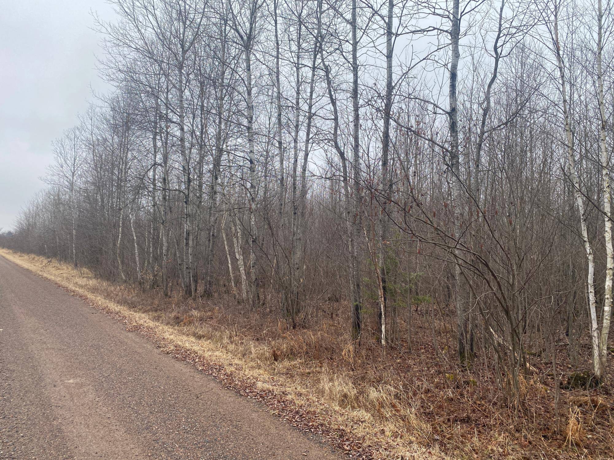 ON SHAUGER RD, Ogema, WI 54459