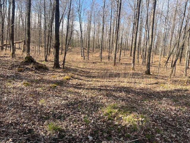 WI 54465,Lot 40 BARTZ BAY RD