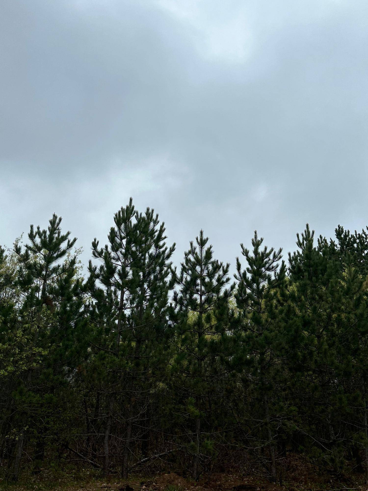 ON CTH Y #Lot 6, Tomahawk, WI 54487