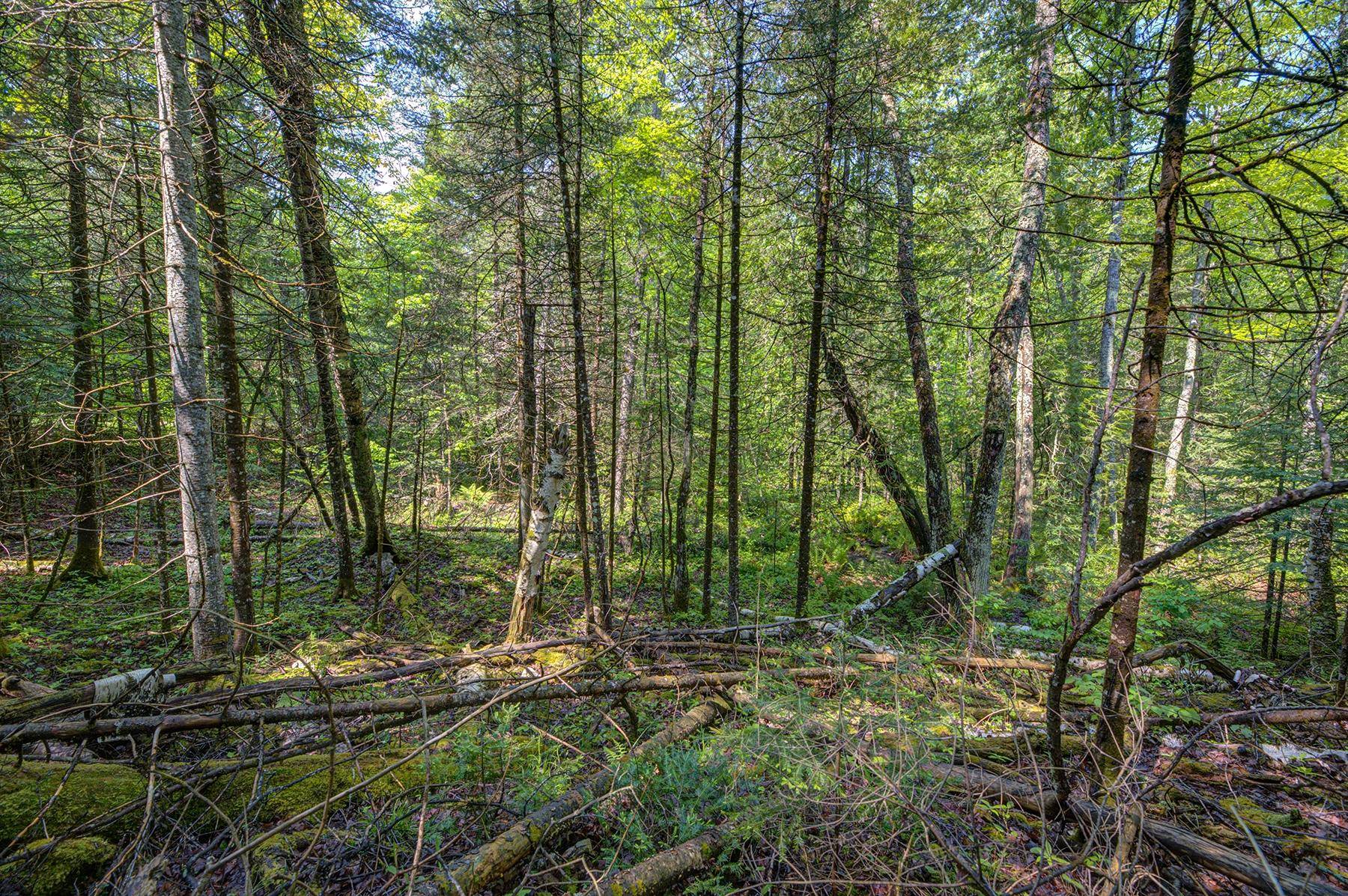 Presque Isle, WI 54557,Lot 12 UPSTREAM DR
