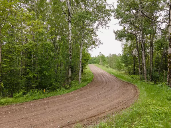 30acres WARDS TRL,  Iron River,  MI 49935