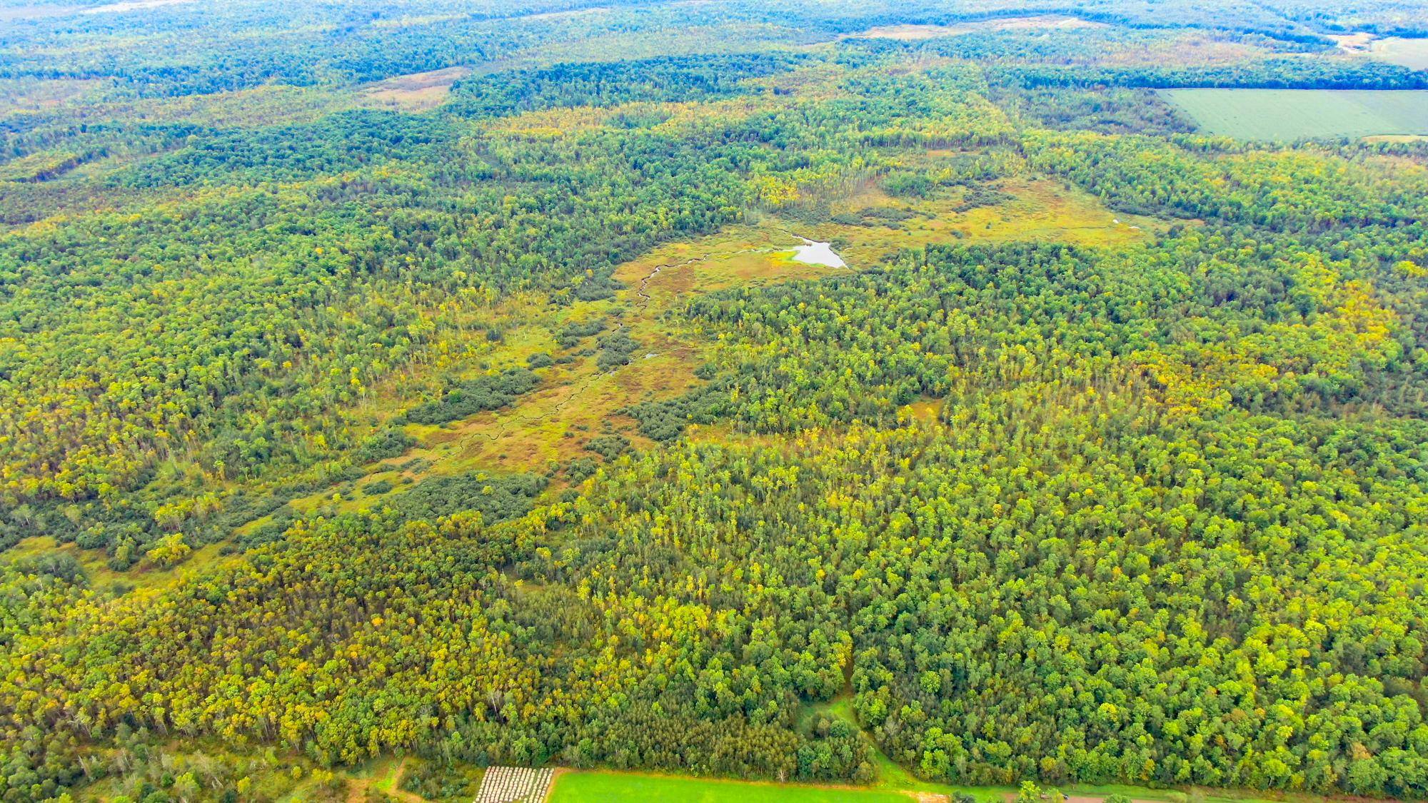 WI 54766,00 WILDFLOWER RD