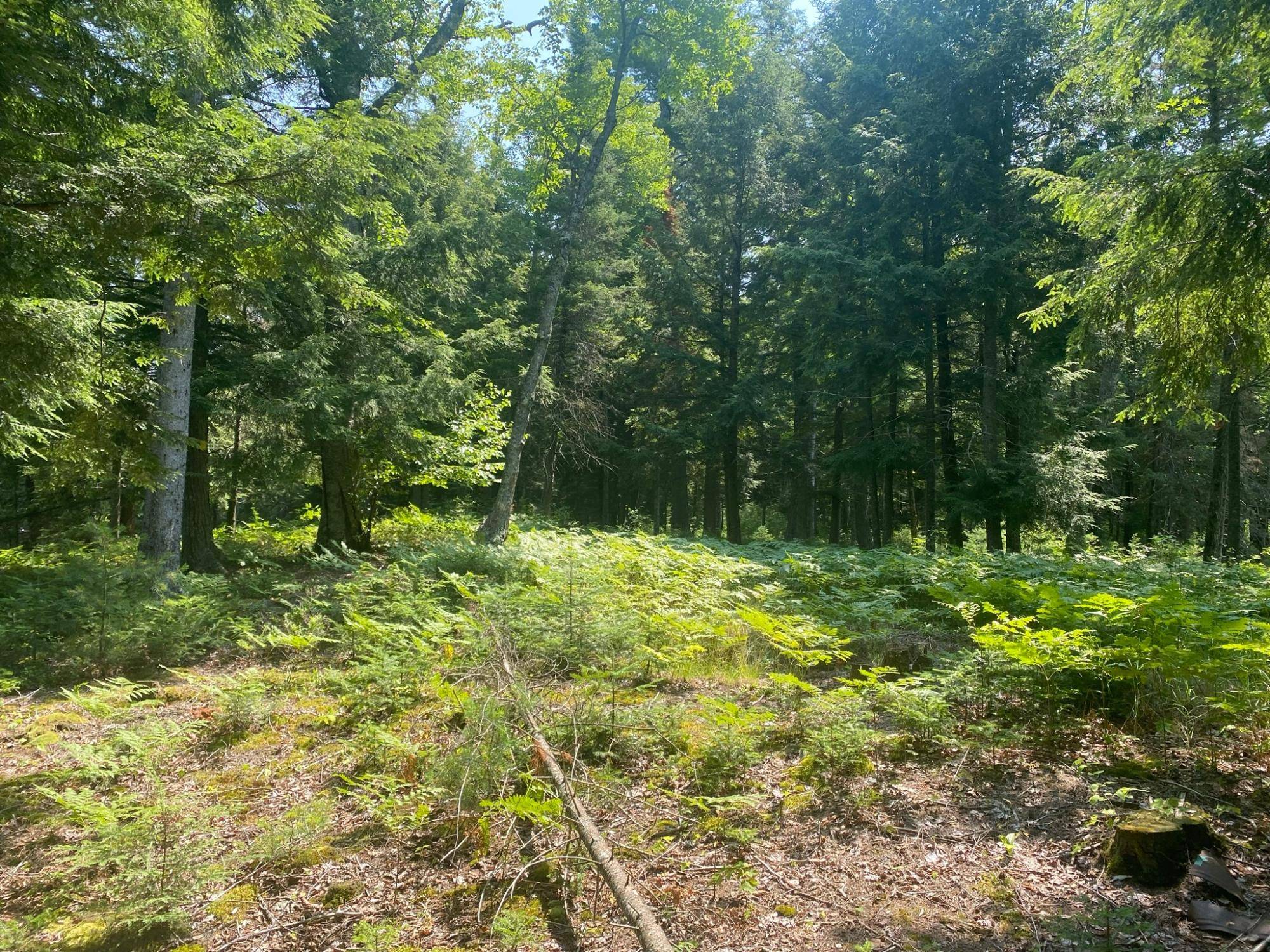 Watersmeet, MI 49969,TBD EN-A-WEN-DA-WIN