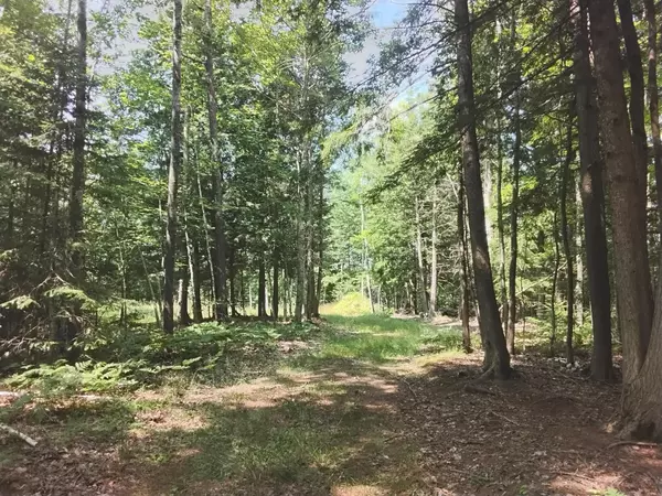 Minocqua, WI 54548,8765 BO DI LAC DR N