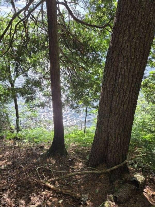 TBD PAINT LAKE RD W, Iron River, MI 49935