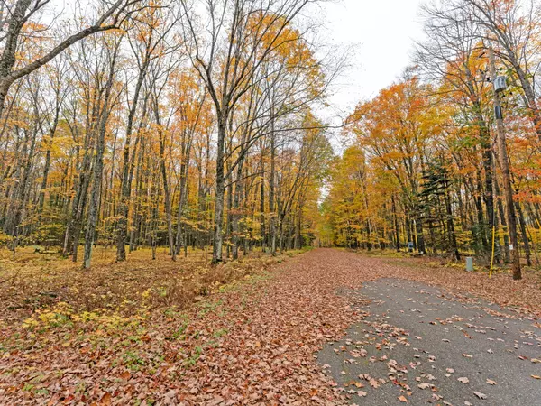 Minocqua, WI 54548,Lot 128 WHITE BIRCH LN